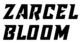 ZARCELBLOOM E-BOOKS